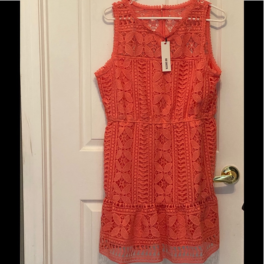 BB Dakota Sandra Lace Fit and Flare Dress NWT New - Picture 4 of 4
